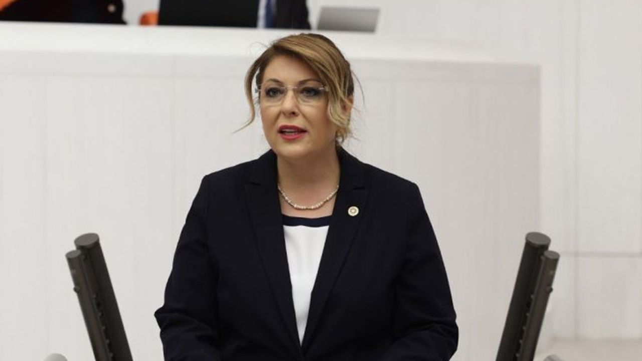 CHP Milletvekili Elvan Işık Gezmiş: Devlet, ilaç teminindeki sorunları çözmelidir