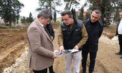 Giresun Belediye Başkanı Aytekin Şenlikoğlu açıkladı “Dal-Çık çalışması başlıyor”