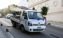 Eyüp’te sivrisinek ilaçlama çalışmaları aralıksız sürüyor