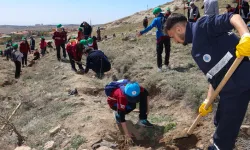 Konya Selçuklu’da yeşil doku güçlenmeye devam ediyor