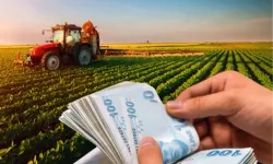 Tarımsal destekler saat 18 itibariyle hesapta