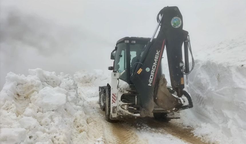 Giresun'da kar nedeniyle kapanan yayla yolları açılıyor