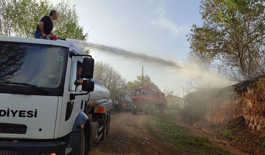 Giresun’da 80 dönümlük mera arazisi yandı