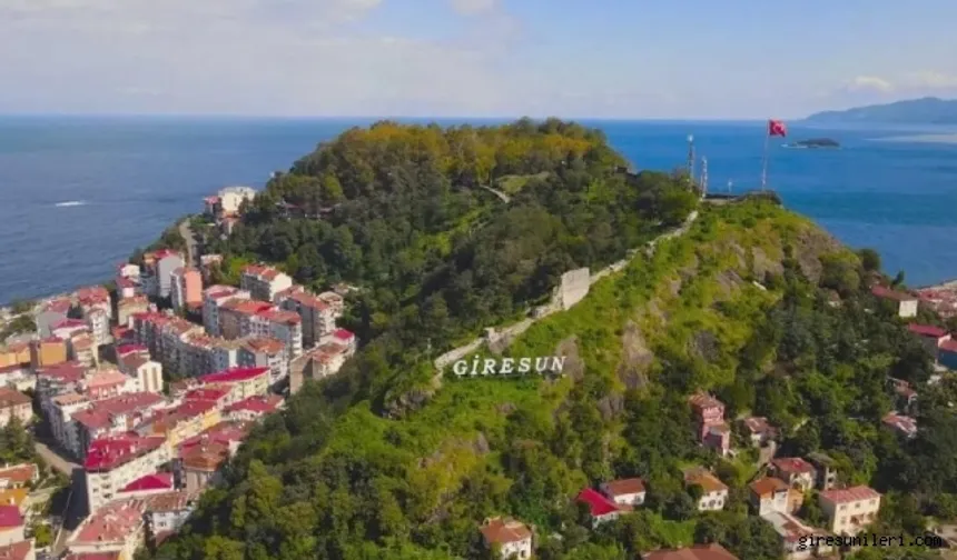 Giresun, Doğu Karadeniz'in İhracat Yıldızı! 2023 yılında 705 milyon dolar ihracat